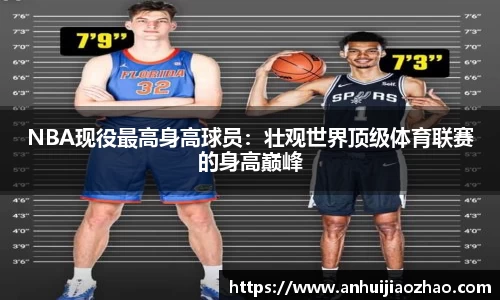 必一运动b-sports官网