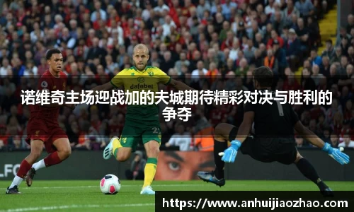 诺维奇主场迎战加的夫城期待精彩对决与胜利的争夺